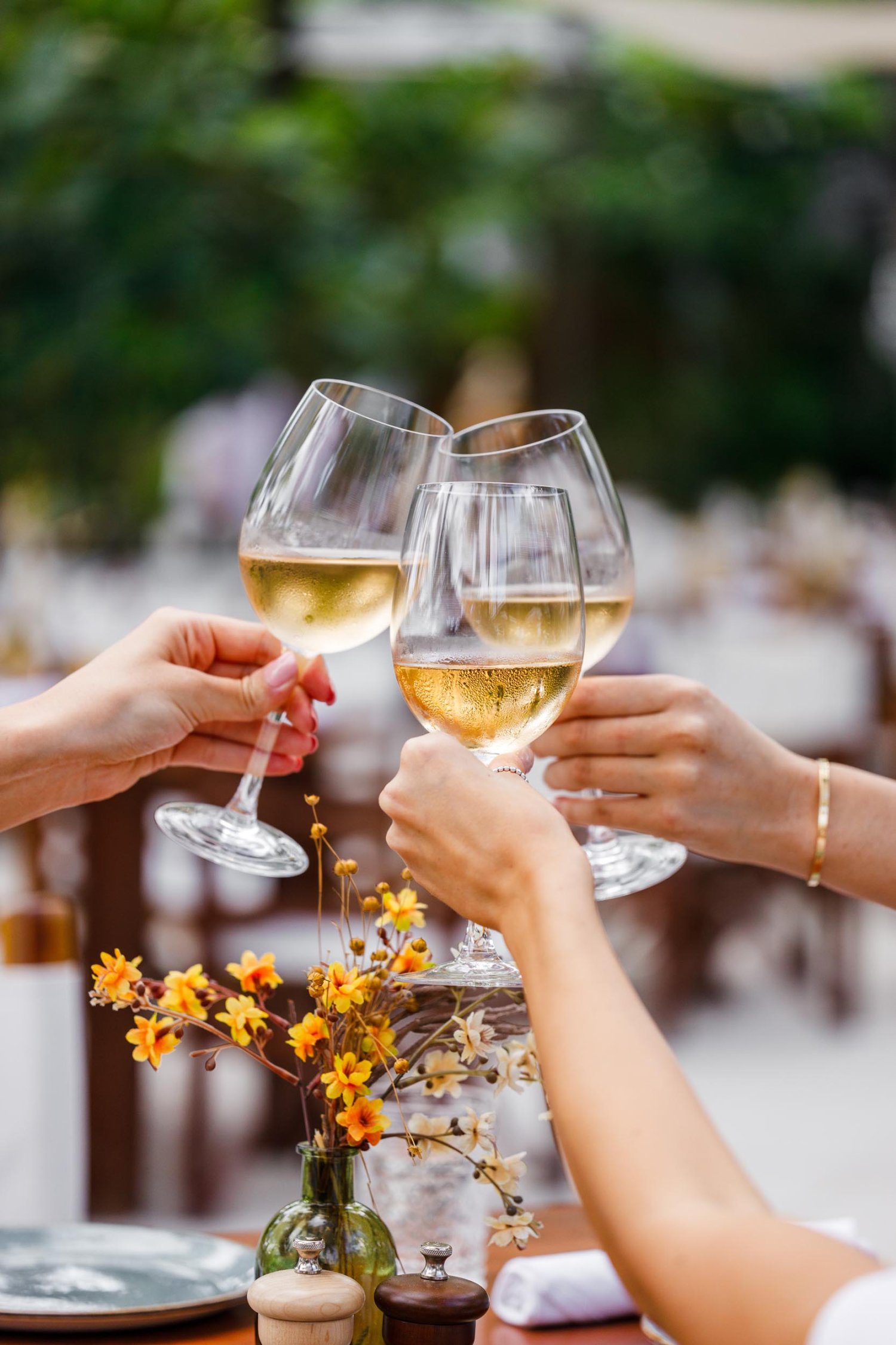 Close up of three women cheersing glasses of wine