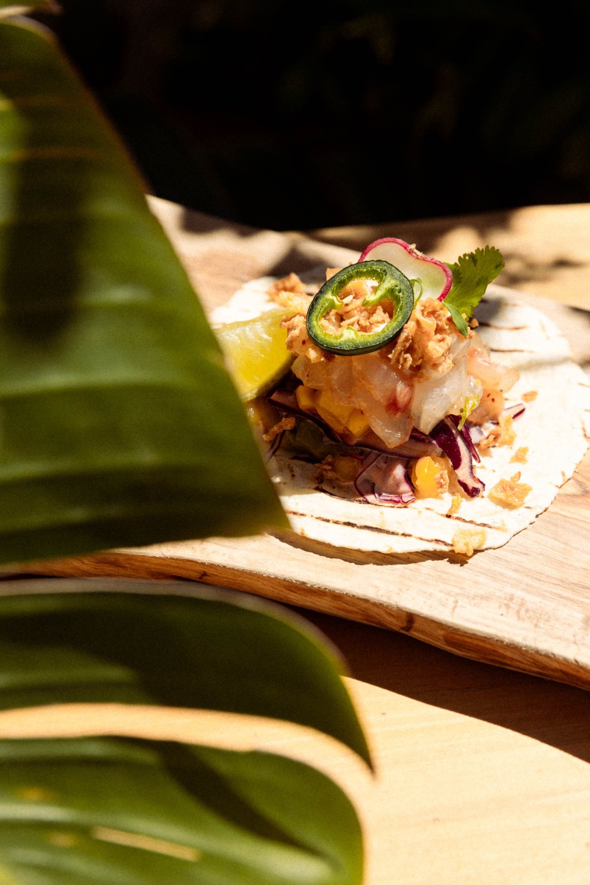 Close up of open fish taco