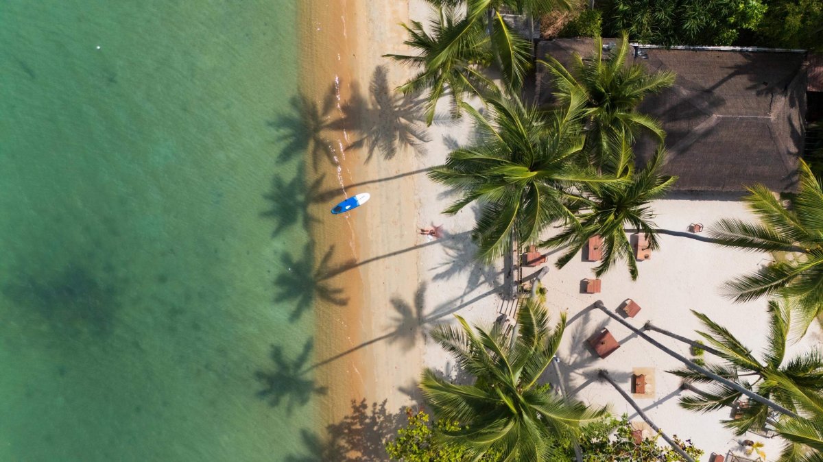 Ariel shot of a sandy beach with palm trees