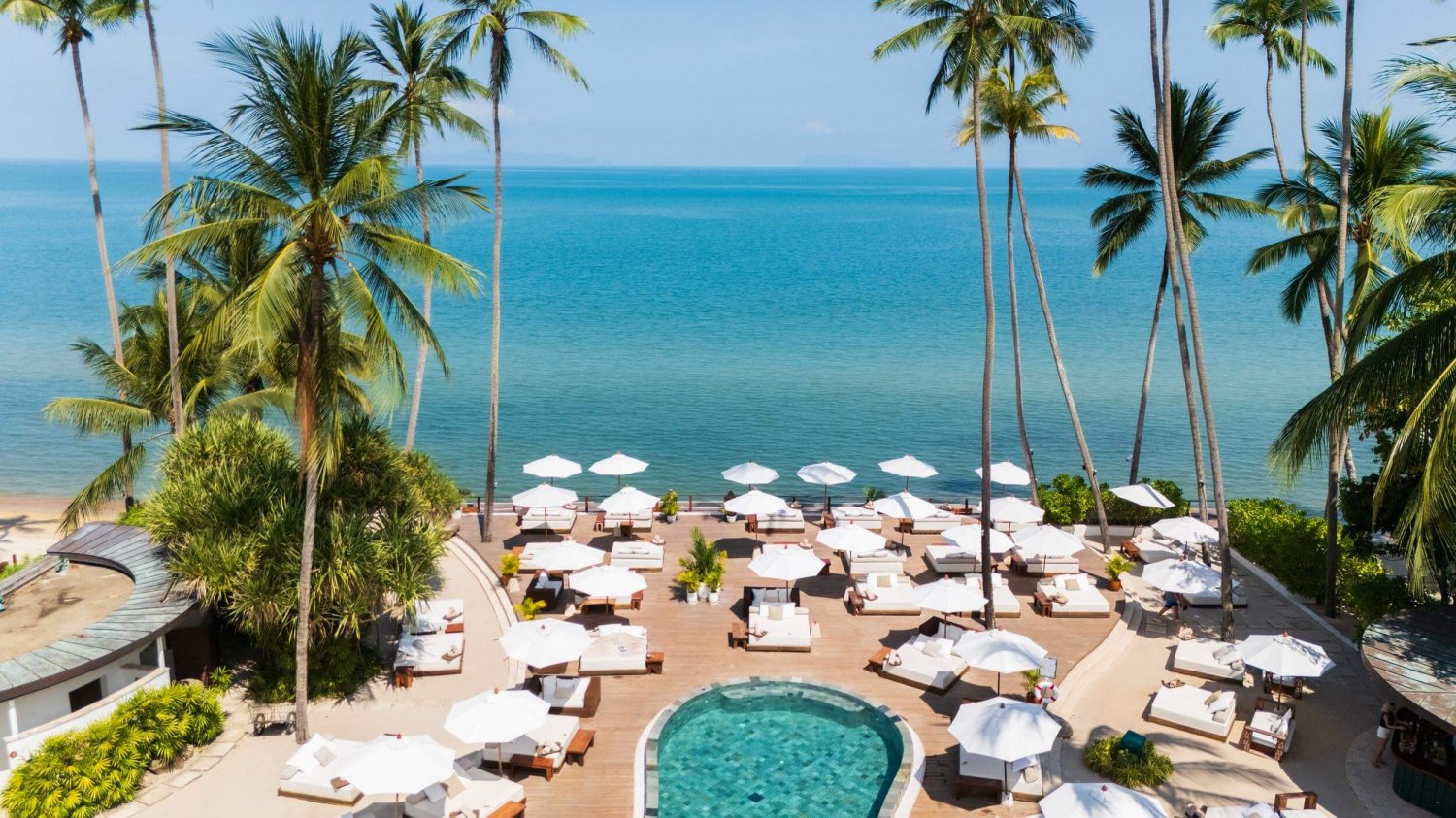 A wide angle of the pool area with sun beds and umbrellas. Palm trees and the sea cover the background