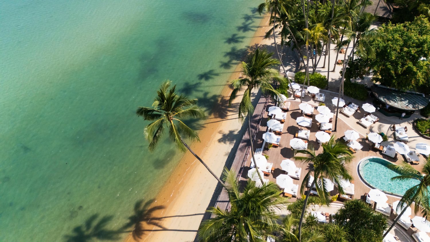 Ariel shot of Nikki Beach showing the pool area, sun loungers, umbrellas, the beach front and sea - Nikki Beach Koh Samui Drone Shot