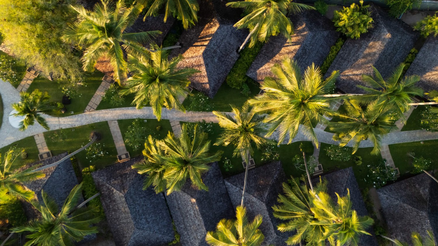 Drone shot of the accommodation and tress at Nikki Beach Koh Samui