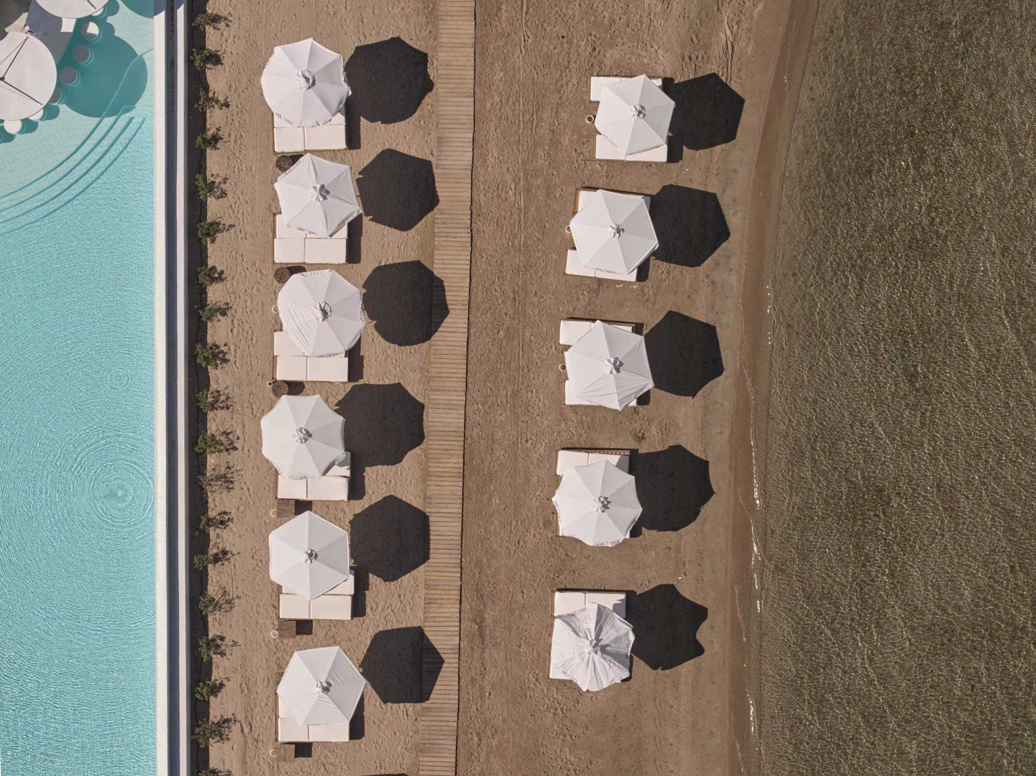 Arial shot of sun beds on the beach with umbrellas