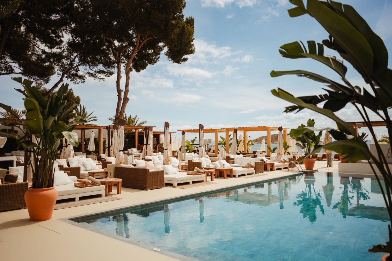 Outdoor pool area with rows of sofas and sun beds. Plants on each corner of the pool and tall trees in the background
