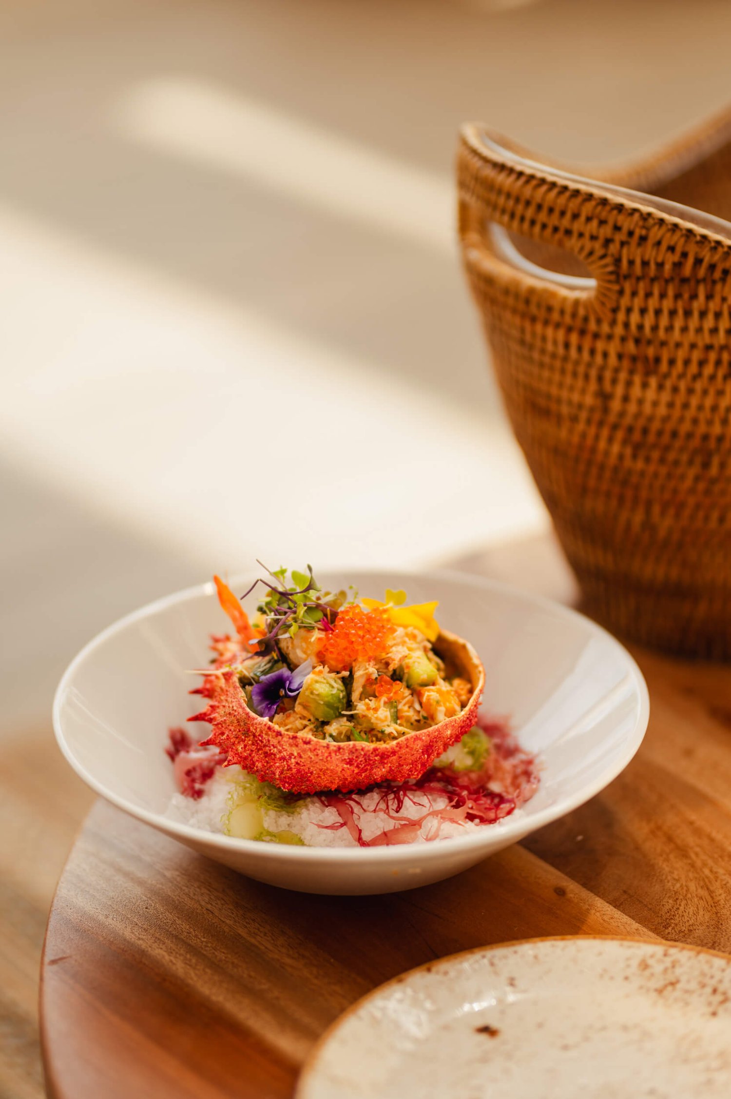 Close up of luxurious cuisine on a white plate