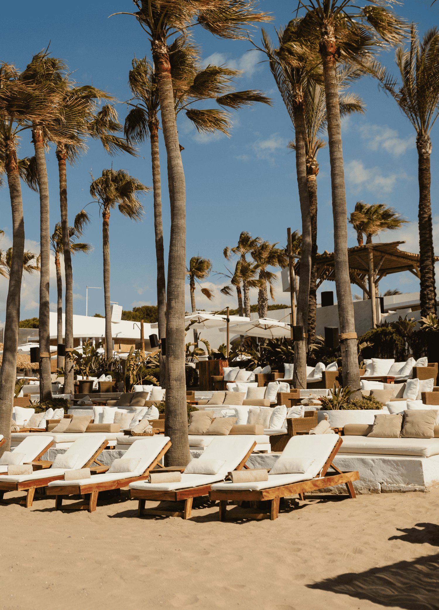 A vibrant beach adorned with swaying palm trees and inviting lounge chairs under a clear blue sky