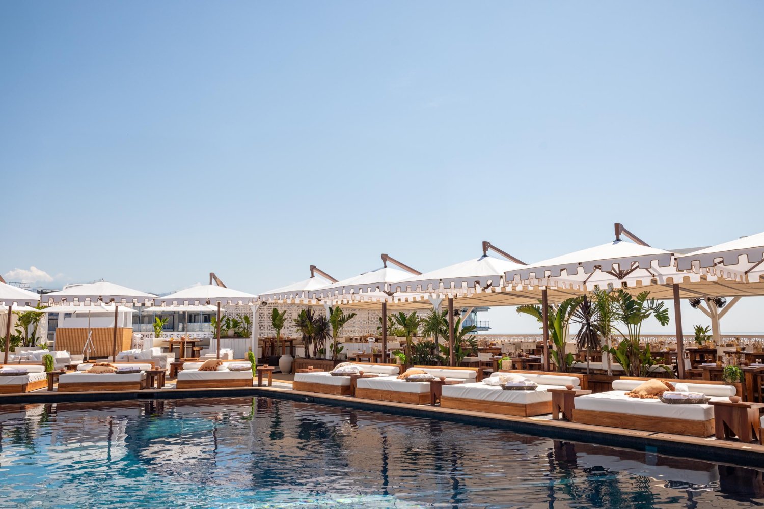 Nikki Beach Monaco's Pool area with sun beds and umbrellas surrounding