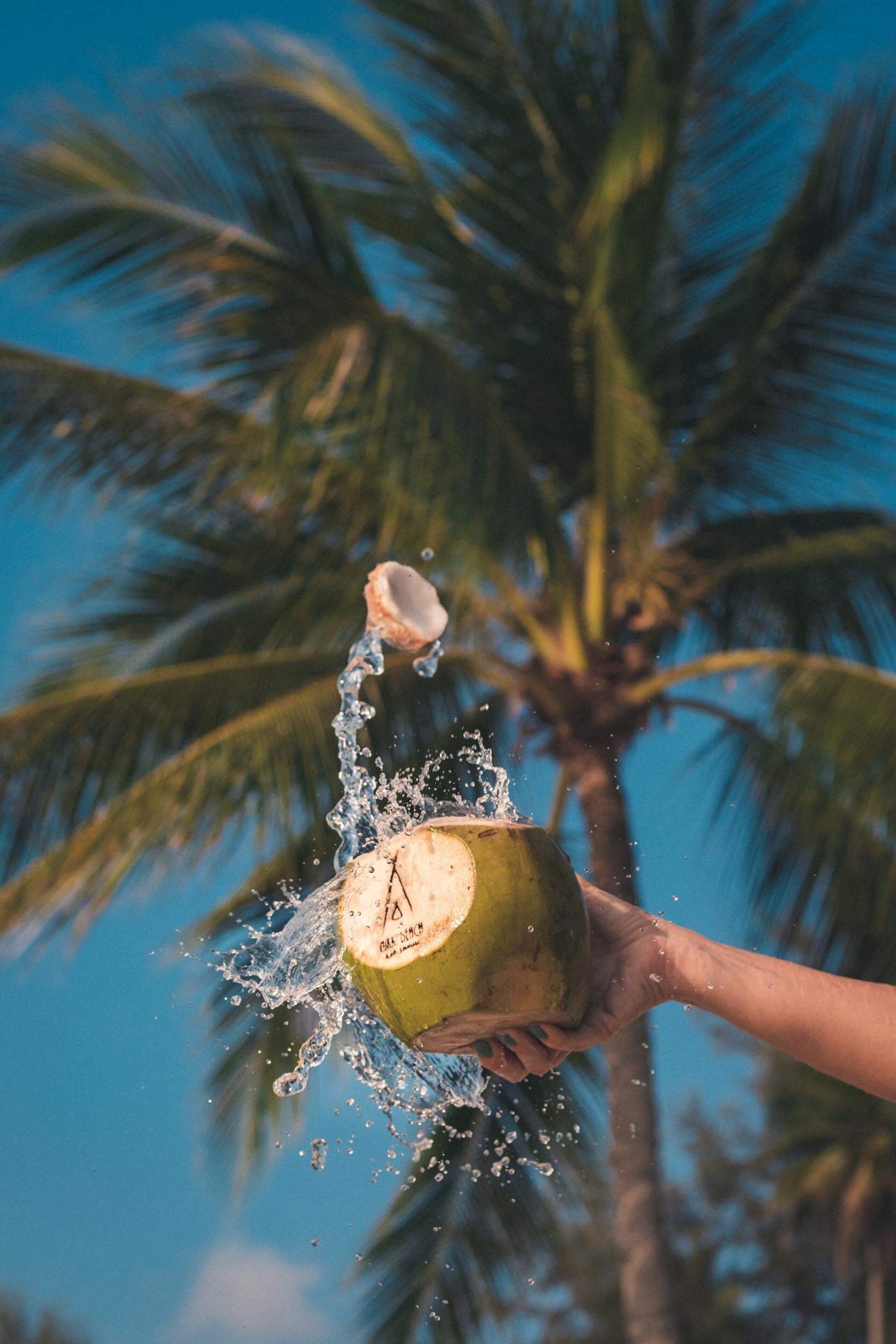 A coconut carved with the Nikki Beach logo. Coconut water is splashing out of the coconut