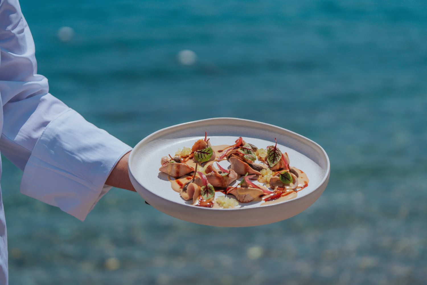A waitress holding a plate of food with the sea in the background