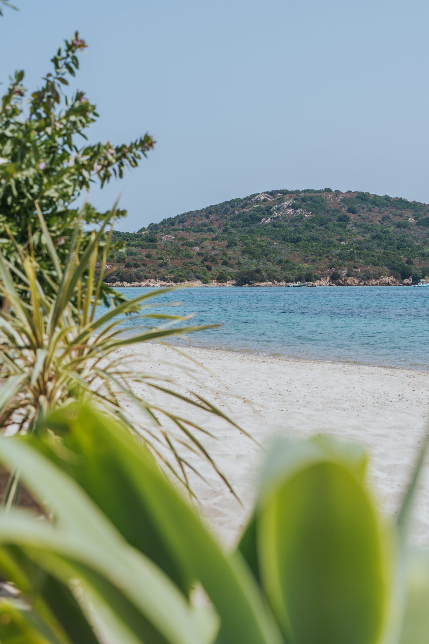 Beachfront showing mountains and palm trees