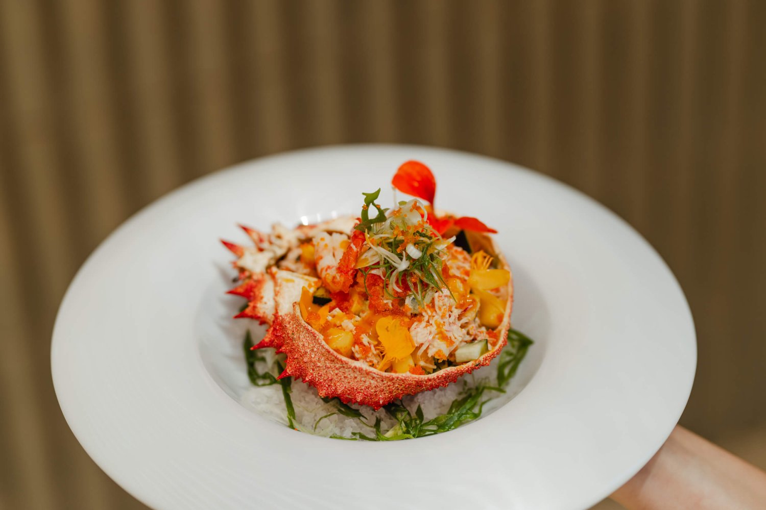 Close up of seafood dish and garnish