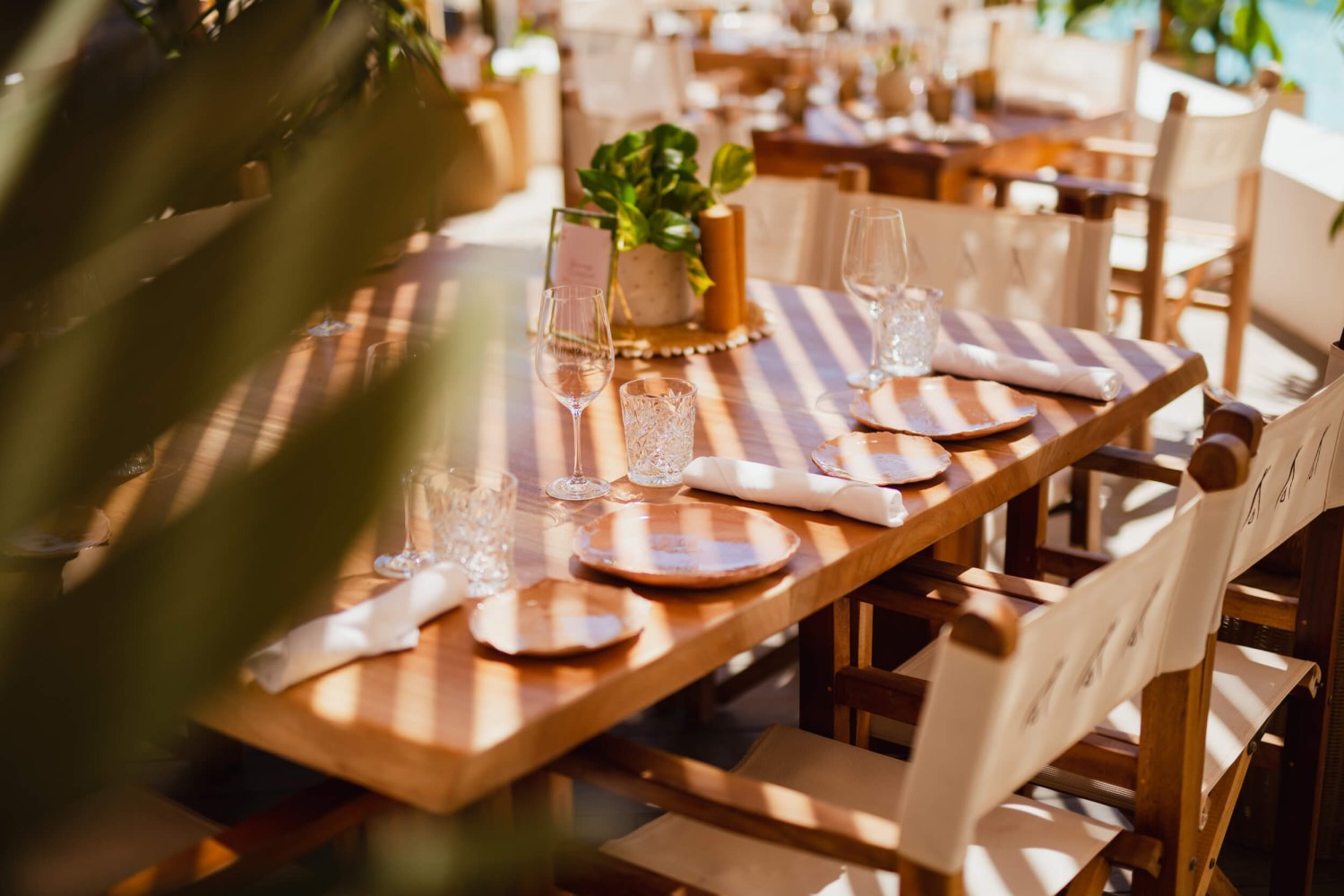 Table setting with a leaf in the foreground