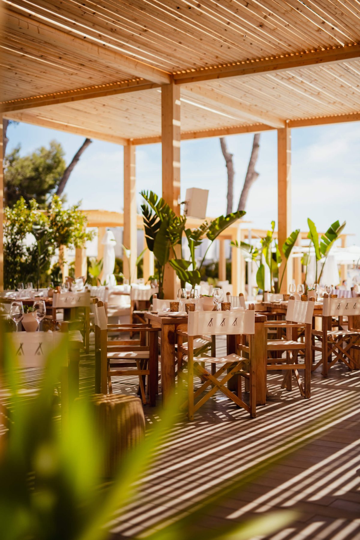 Leaves in the foreground with restaurant chairs and tables in the background