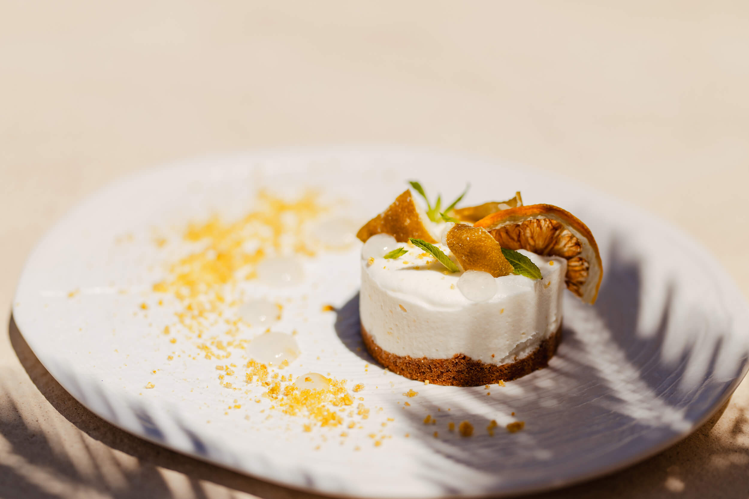 Close up of dessert with garnish on a white plate