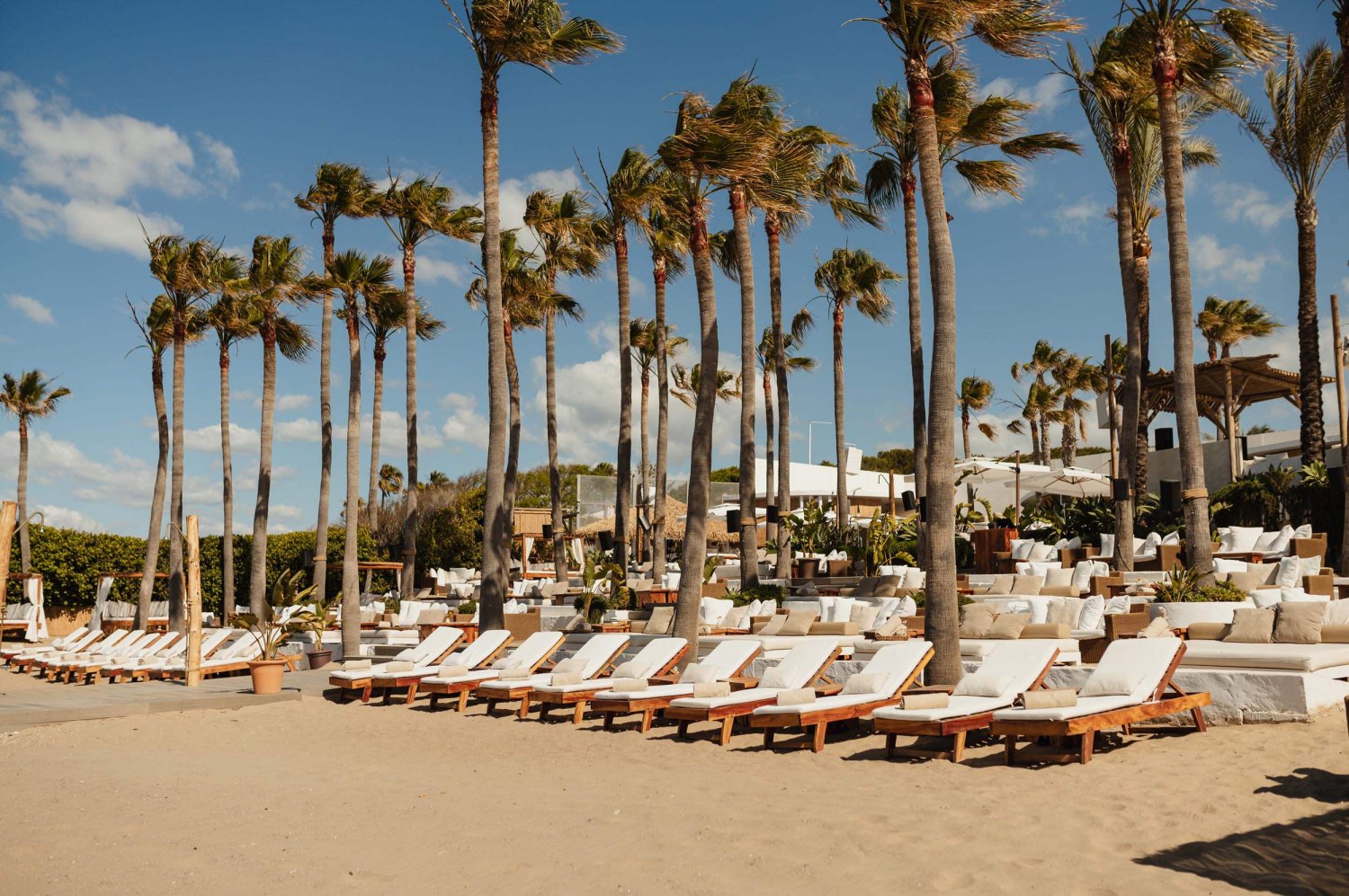 A sandy beach with rows of sun loungers and sun beds with palm trees in between each row - Nikki Beach Marbella