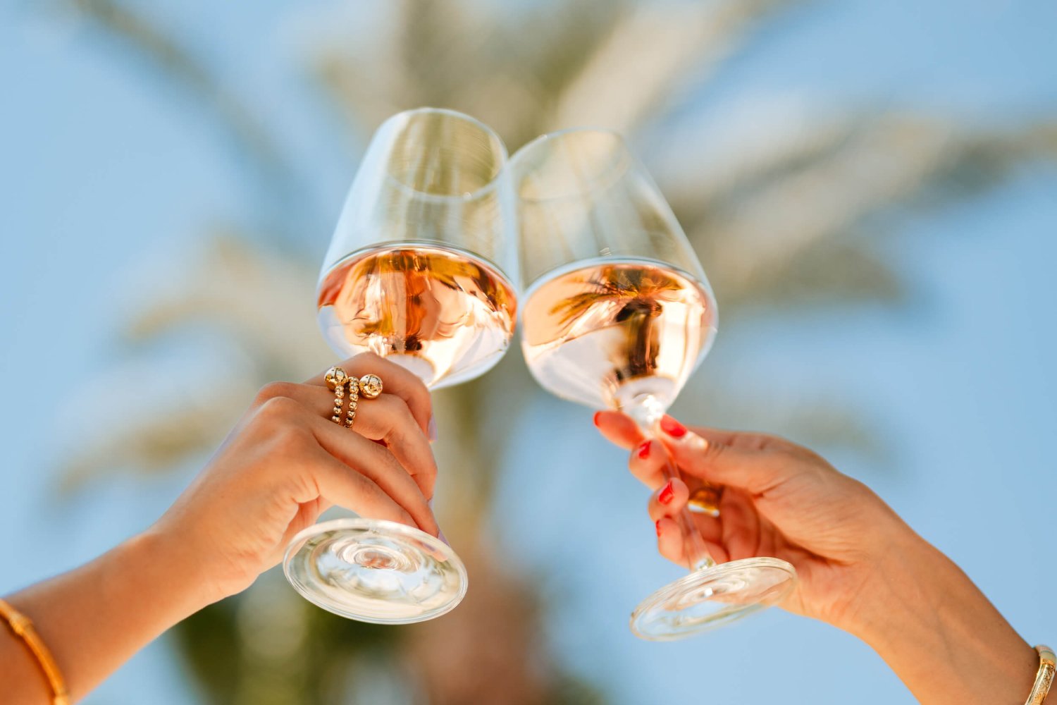 Two women's hands holding wine glasses, cheersing drinks infront of a palm tree
