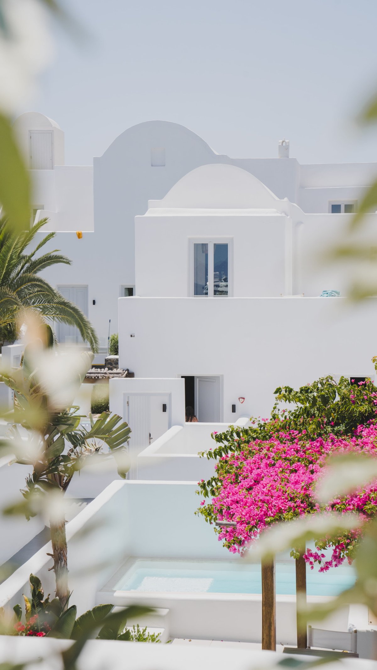 A picturesque view of the pristine white buildings at Nikki Beach Santorini, beautifully framed by vibrant pink bougainvillea flowers and lush green palm leaves under a bright summer sky