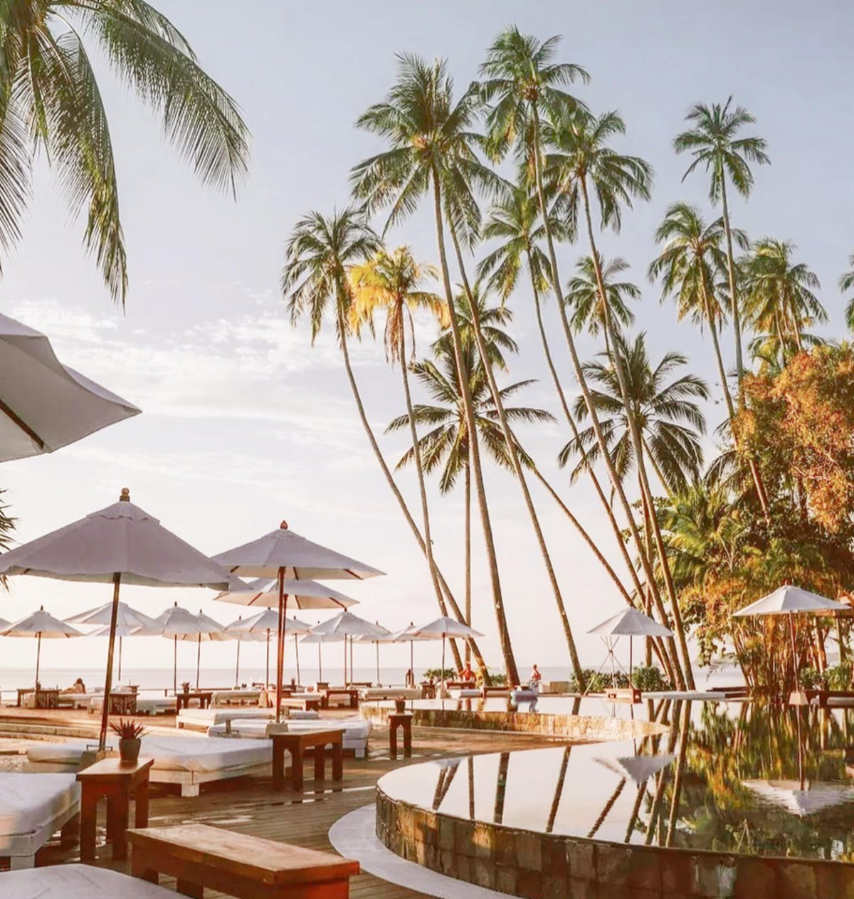 Infinity pool surrounded by sun beds and umbrellas