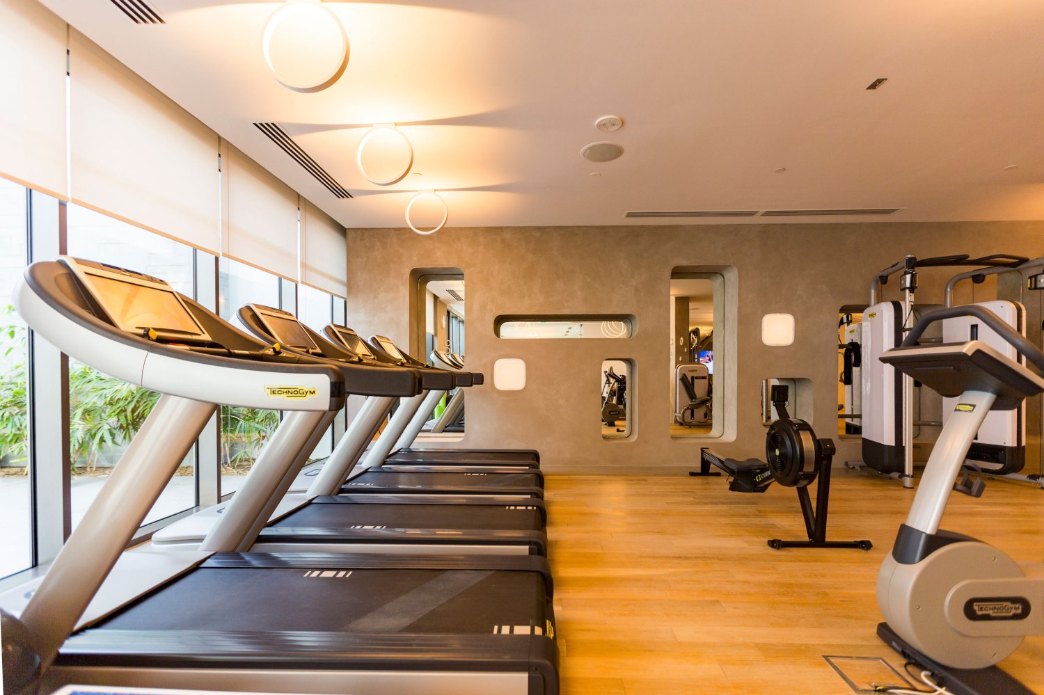 treadmills in the gym